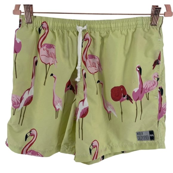 Men's Size Small/Medium Multi-Colored Flamingo Print Swum Trunk Shorts - Picture 1 of 5
